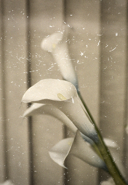 Közeli kép: mesterséges virág. - Fotó, kép