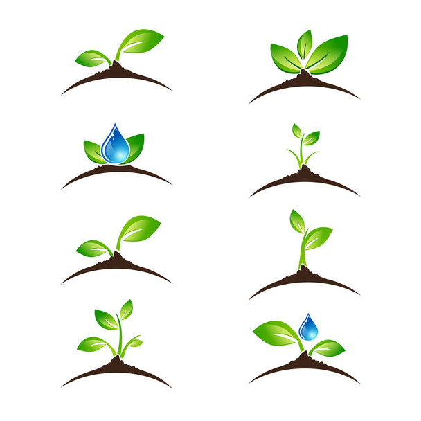 Groene Sprout pictogram of Logo ontwerpset - Vector, afbeelding