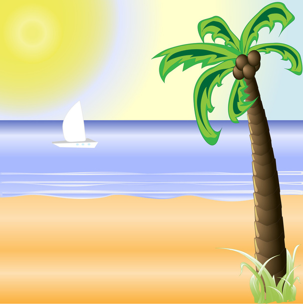 una spiaggia soleggiata con un sole luminoso e una bella palma
 - Vettoriali, immagini