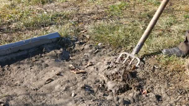 Σκάβουν άνοιξη γήινο χώμα στον κήπο με pitchfork - Πλάνα, βίντεο