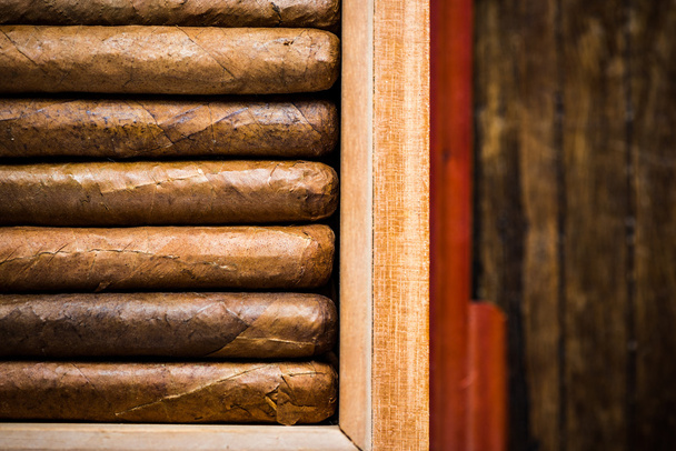 Overhead view on humidor with cigars - Photo, Image