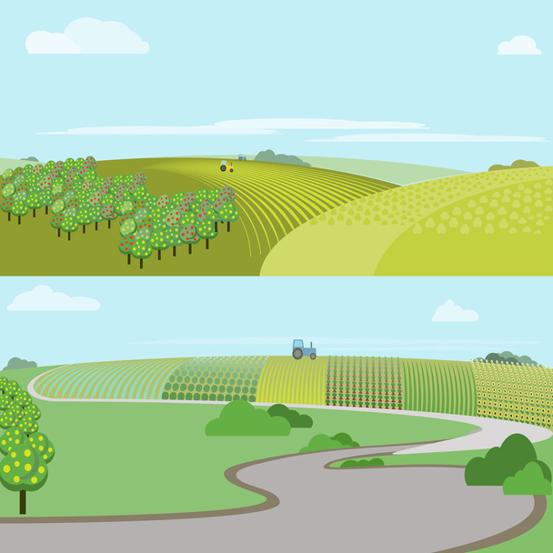 Farm field, vector illustration - Vector, imagen