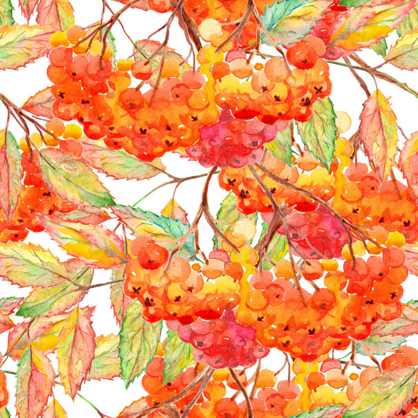 Watercolor rowan ashberry leaf branch seamless pattern - Zdjęcie, obraz
