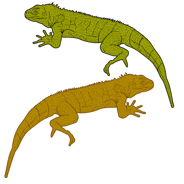 Lizard est une silhouette goanna sur fond blanc. Illustration vectorielle
 - Vecteur, image