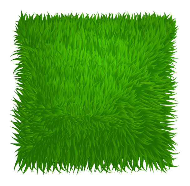 Green grass texture rectangle isolated on white. Vector illustra - Vetor, Imagem