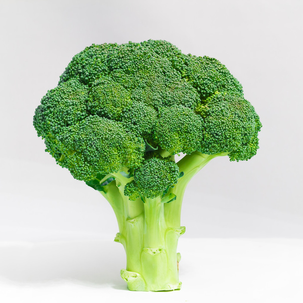 Broccoli isolati su fondo bianco - Foto, immagini