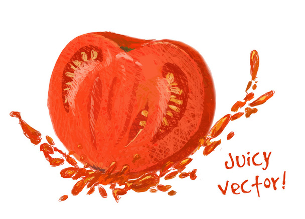 drawing slice of tomato with juice - Vecteur, image