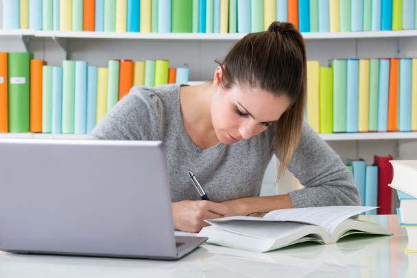 Woman Studying In Library - Photo, Image
