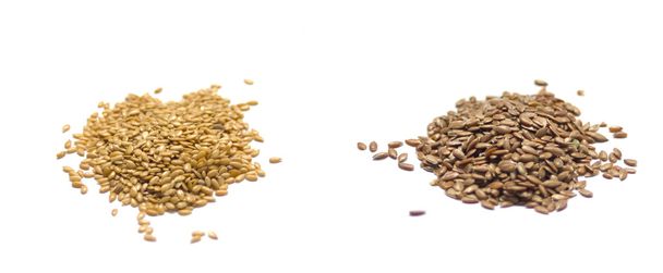 Flax seed set : Golden and Brown seeds. - Photo, Image