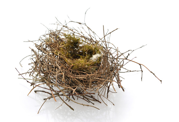 Real empty bird nest on white background - Photo, Image