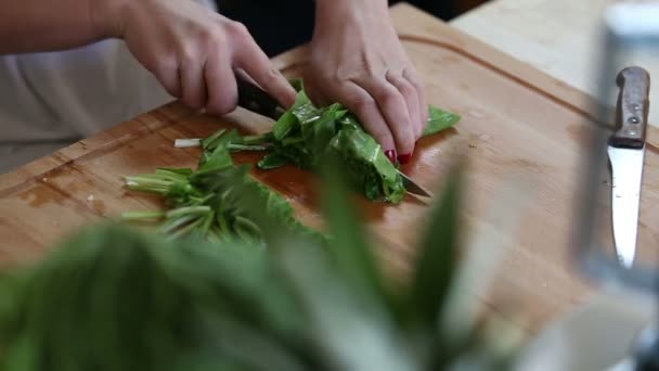 woman cutting spinach - Кадри, відео