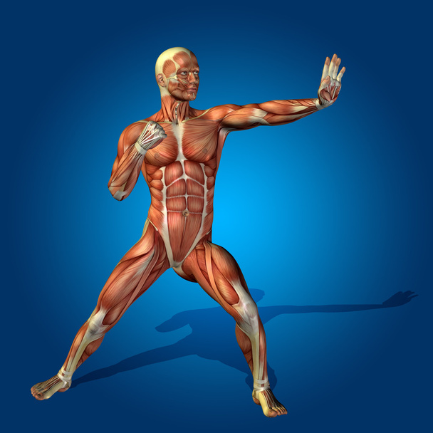 mocne człowieka z mięśni - Zdjęcie, obraz