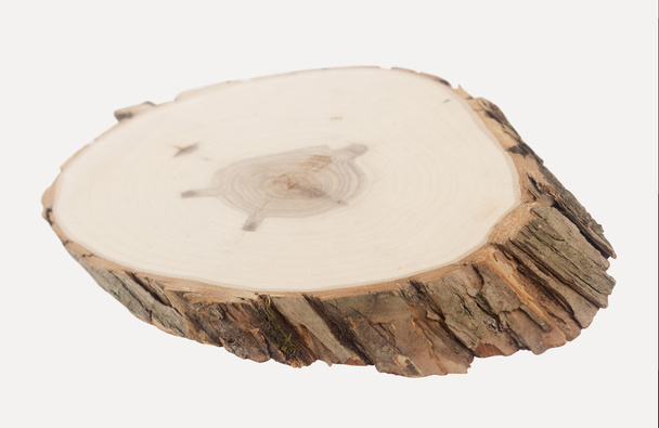 Une tranche de bois en perspective
 - Photo, image