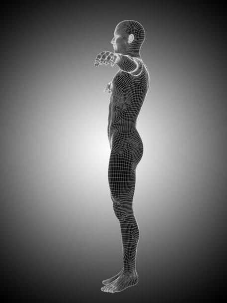 Szkielet człowieka stojącego - Zdjęcie, obraz