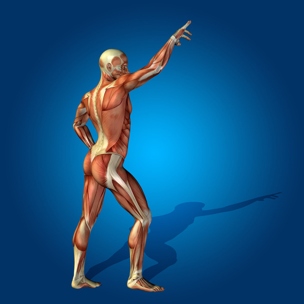 тремтяча людина з м'язами
 - Фото, зображення
