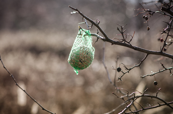 корм для птиц на дереве
 - Фото, изображение