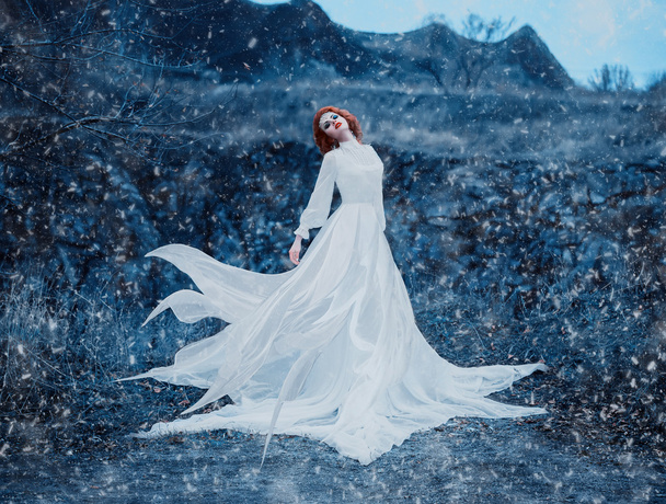 Luxury snow queen - Фото, зображення