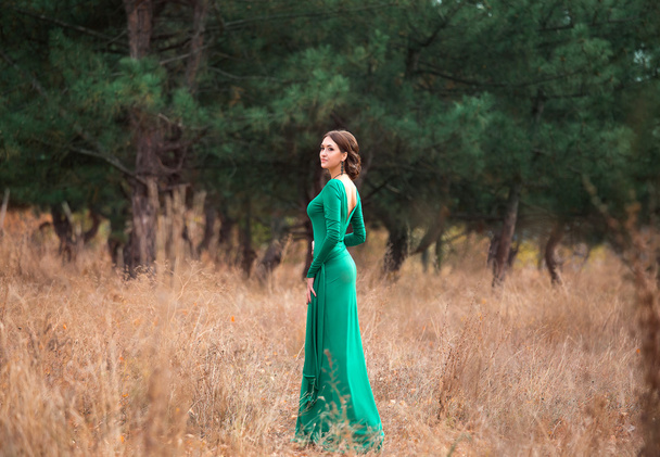 Lady in a luxury    emerald dress - Foto, Imagem
