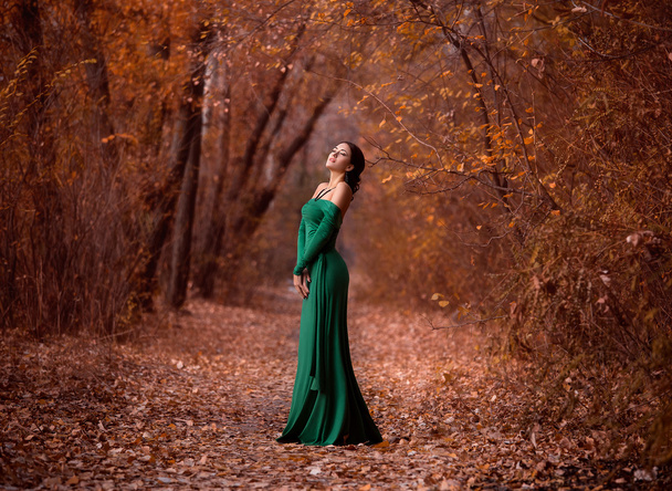 Lady in a luxury    emerald dress - 写真・画像