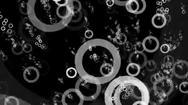 Abstract flying circles in white on black - Footage, Video