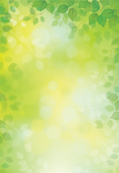 Grens groene bladeren - Vector, afbeelding
