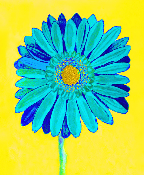 Gerberas azules sobre amarillo, acuarela
 - Foto, imagen