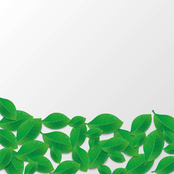 Groene bladeren abstracte achtergrond. Vectorillustratie. - Vector, afbeelding