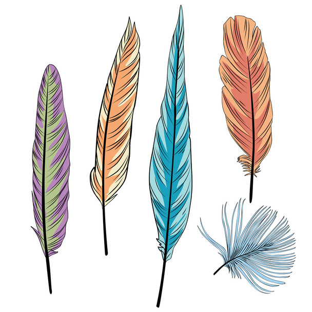 Colorful set of feathers - Vector, Image