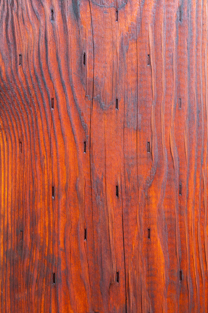 Wood grain bark texture - Photo, Image