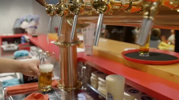mugs of beer: drawing beer in a pub - Materiał filmowy, wideo