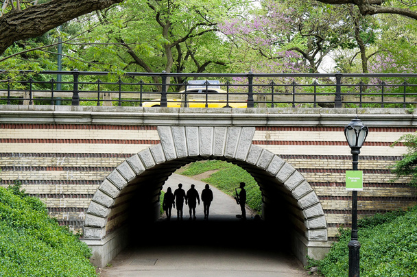 new york city busker im Central Park - Foto, Bild