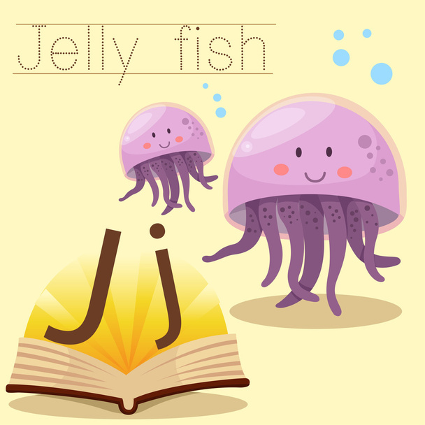 Illustrator of j for Jelly fish vocabulary - Vector, Image