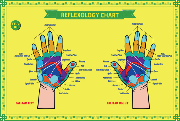 Kéz reflexológia chart  - Vektor, kép