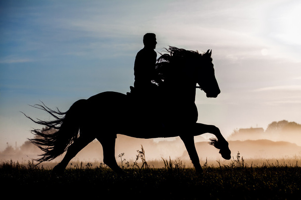 Φρισλανδός άλογο και αναβάτη στο ηλιοβασίλεμα - Φωτογραφία, εικόνα