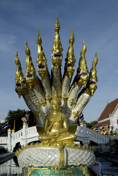 Buddha sit on seven serpent heads. - 写真・画像