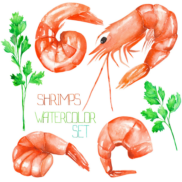 A set with the watercolor shrimps and greenery - Photo, Image