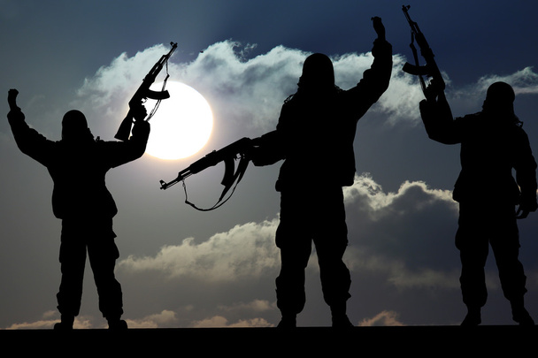 Silueta voják a důstojník zbraní při západu slunce - Fotografie, Obrázek