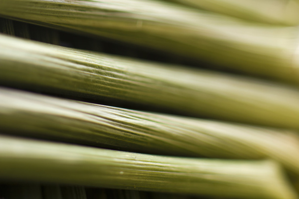 Macro wheat stem - Valokuva, kuva