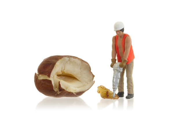 Мініатюрний працівник, що працює з лісовими горіхами
 - Фото, зображення
