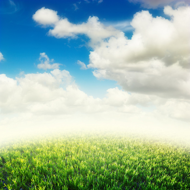Vihreä kenttä sinisten pilvien alla. Kauneus luonnon tausta - Valokuva, kuva