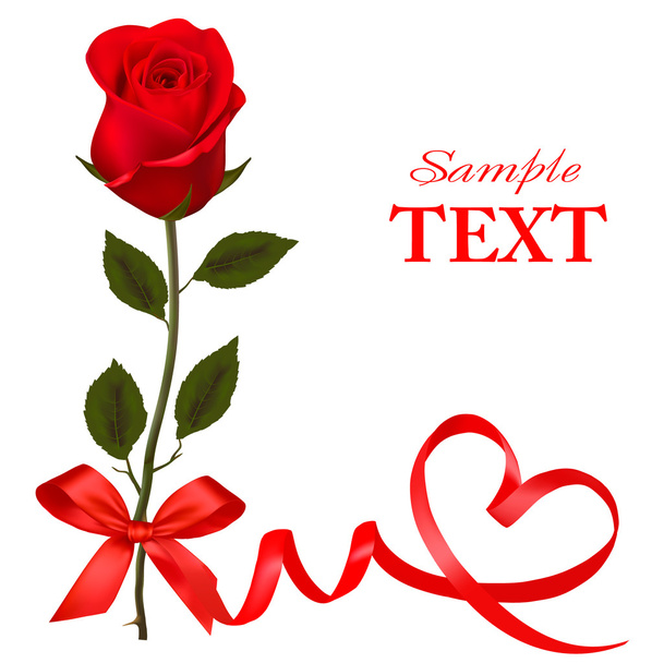 Beautiful red rose with a bow. - Vector, imagen