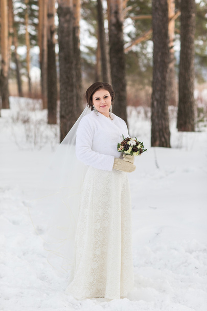 Portrait of the bride in winter - Фото, изображение