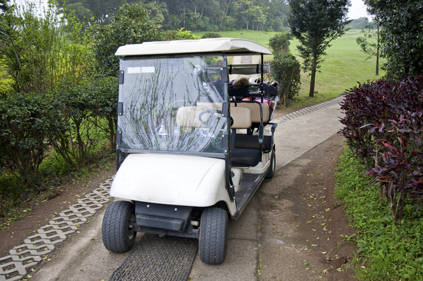 tropické golfový vozík - Fotografie, Obrázek
