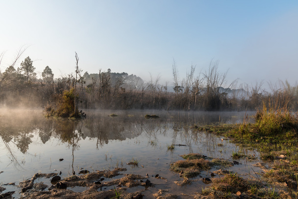 Kirli su ile hendek - Fotoğraf, Görsel
