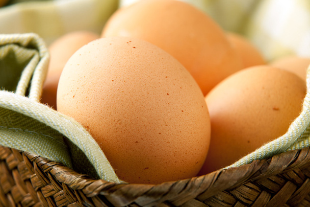 Brown Eggs - Photo, Image