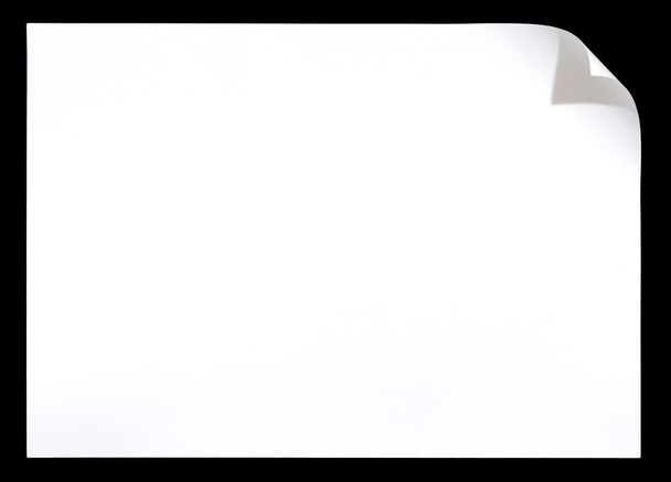 Biała księga z rogu curl na ciemnym tle - Zdjęcie, obraz