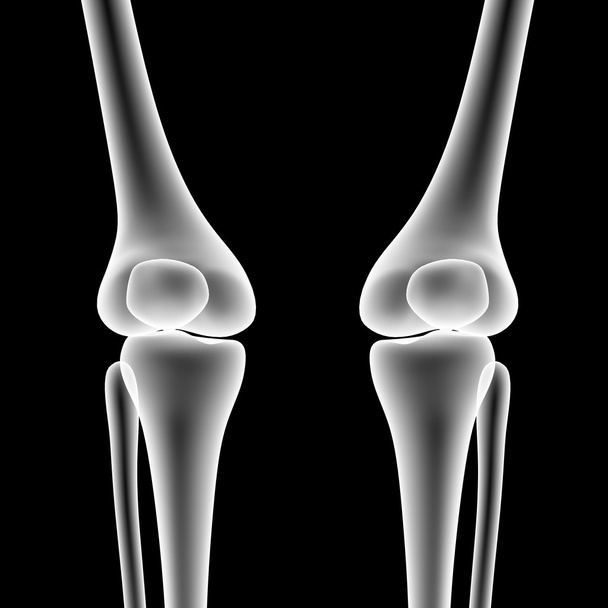 Ludzki szkielet kolana stawów - Zdjęcie, obraz