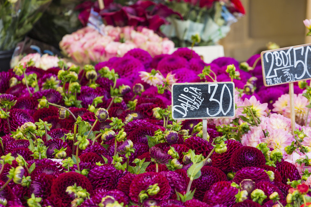 Барвисті букети квітів жоржини на ринку в Копенгагені, де - Фото, зображення