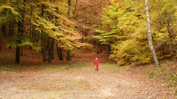 Piccola bella ragazza sul parco della città di autunno
 - Filmati, video