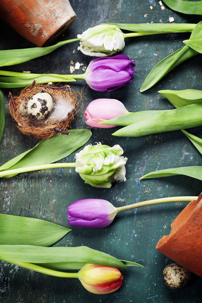 Easter eggs with spring tulip flowers - Photo, image